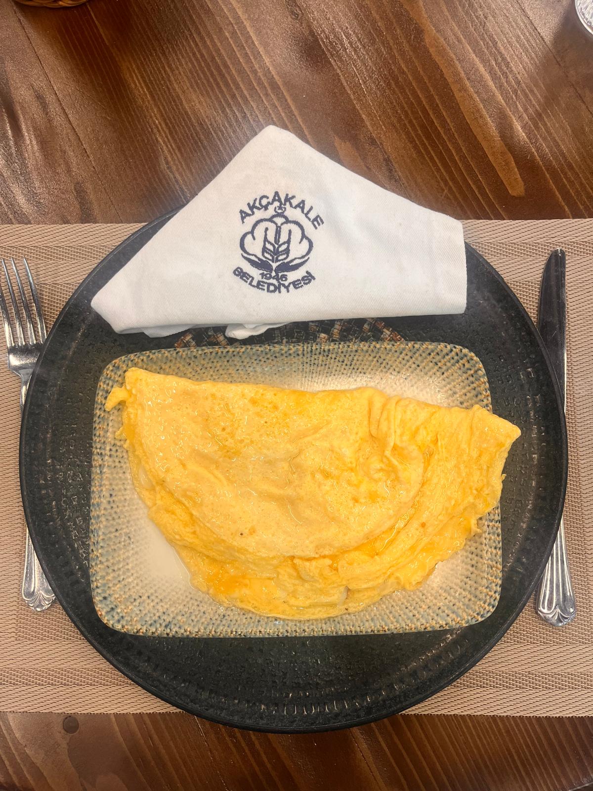 OMLET ÇEŞİTLERİ